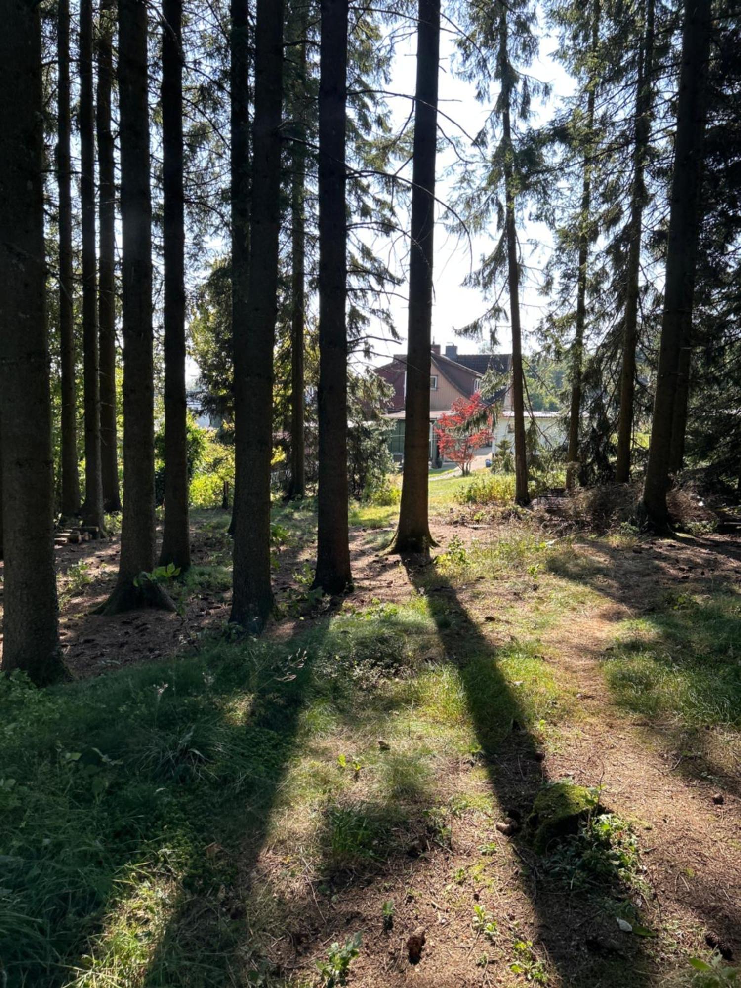Bergwiesenblick38678 Clausthal-Zellerfeld Exterior foto